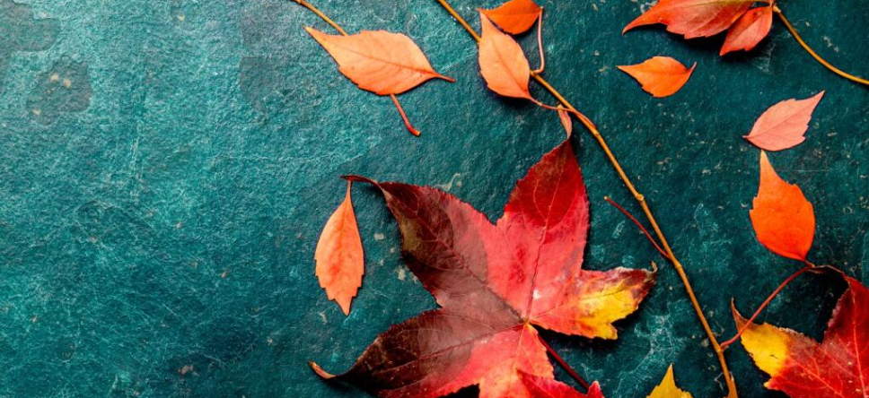 Screenshot 2025-10-26 172010