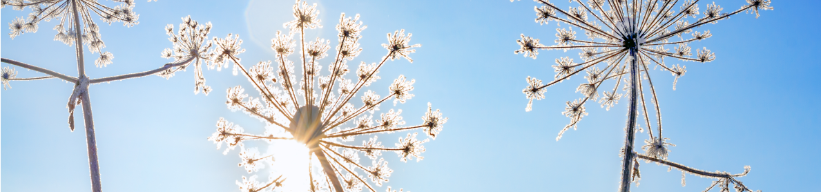 Screenshot 2025-12-12 111534