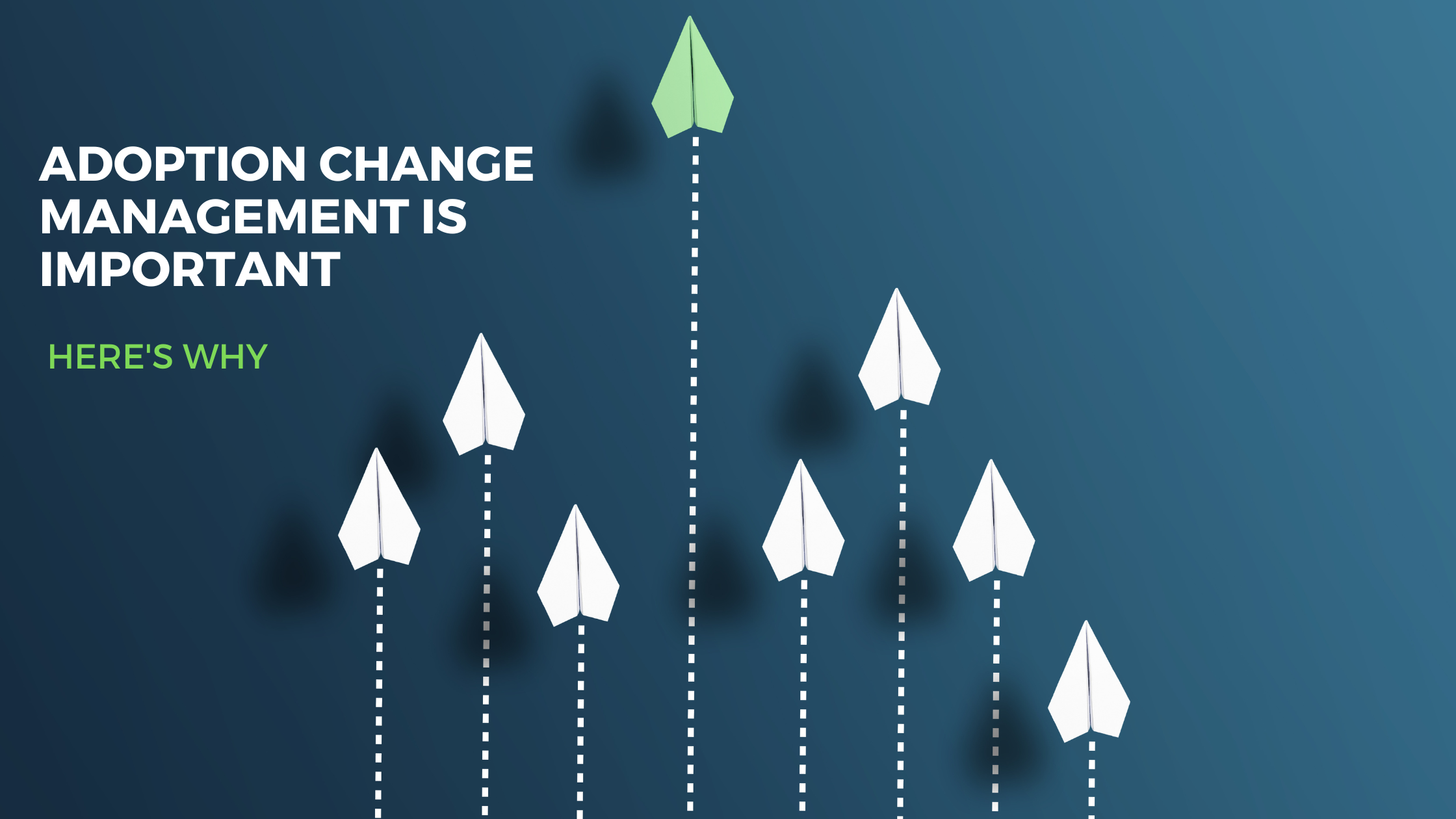 Adoption Change Management is Important