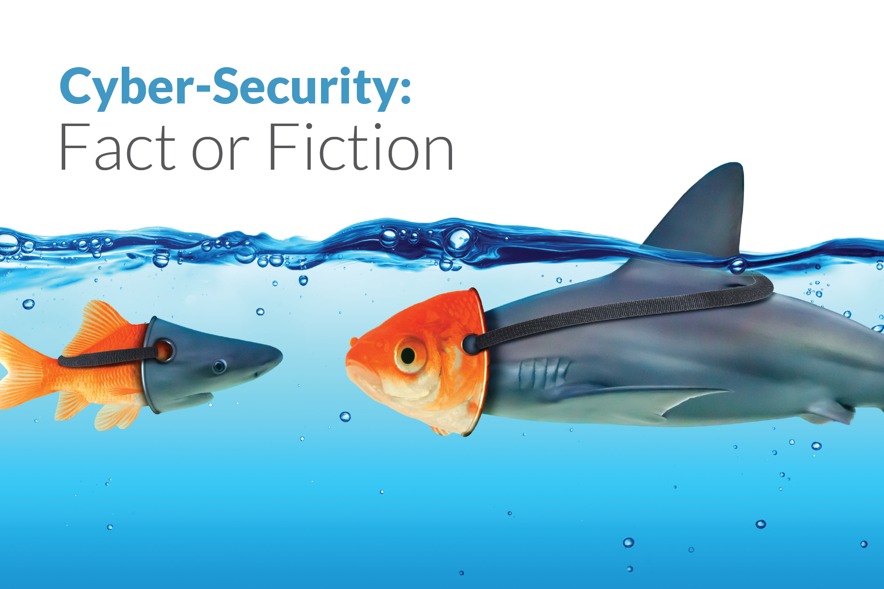 Cyber-Security: Fact or Fiction