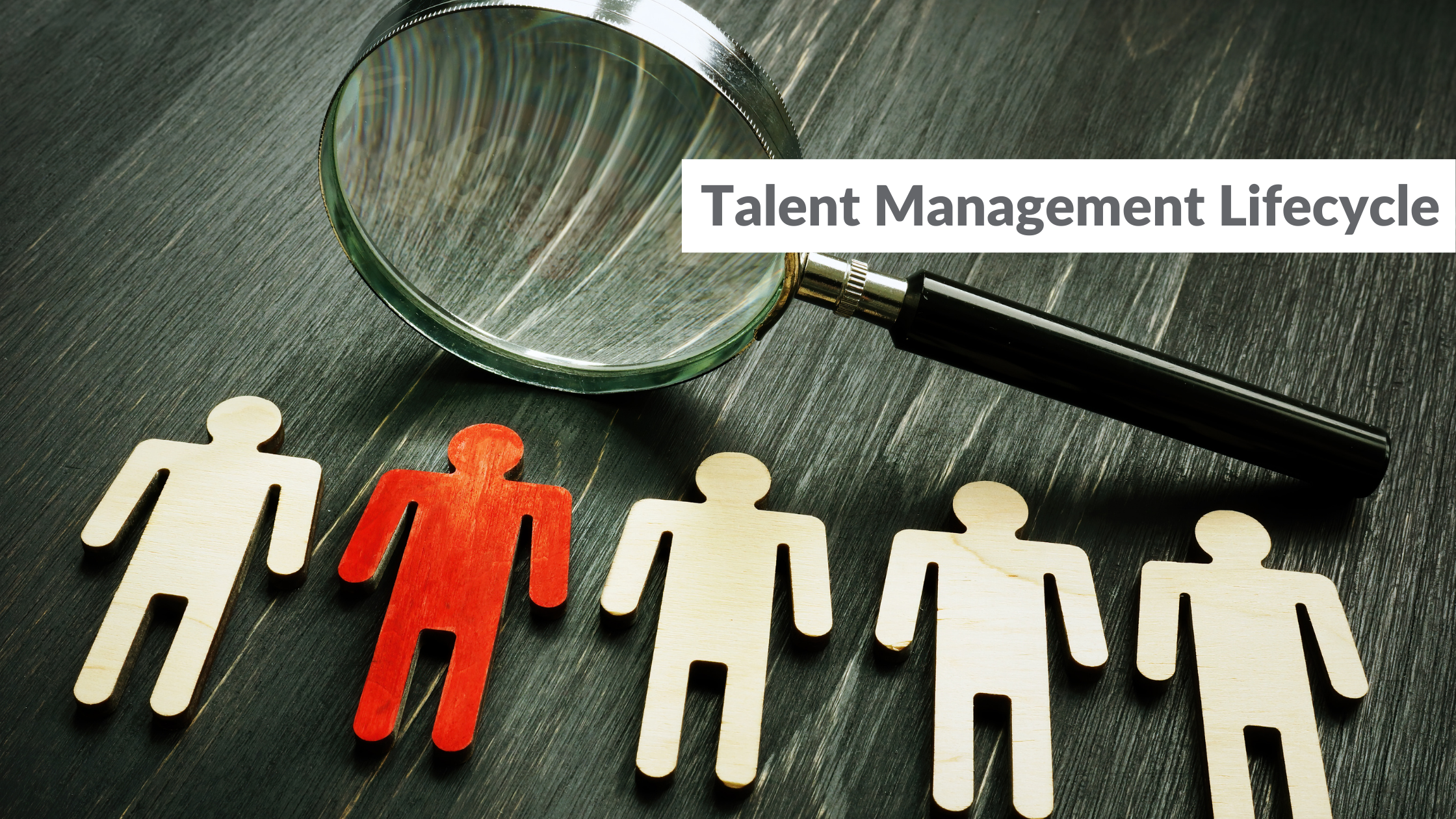 Talent Management Lifecycle