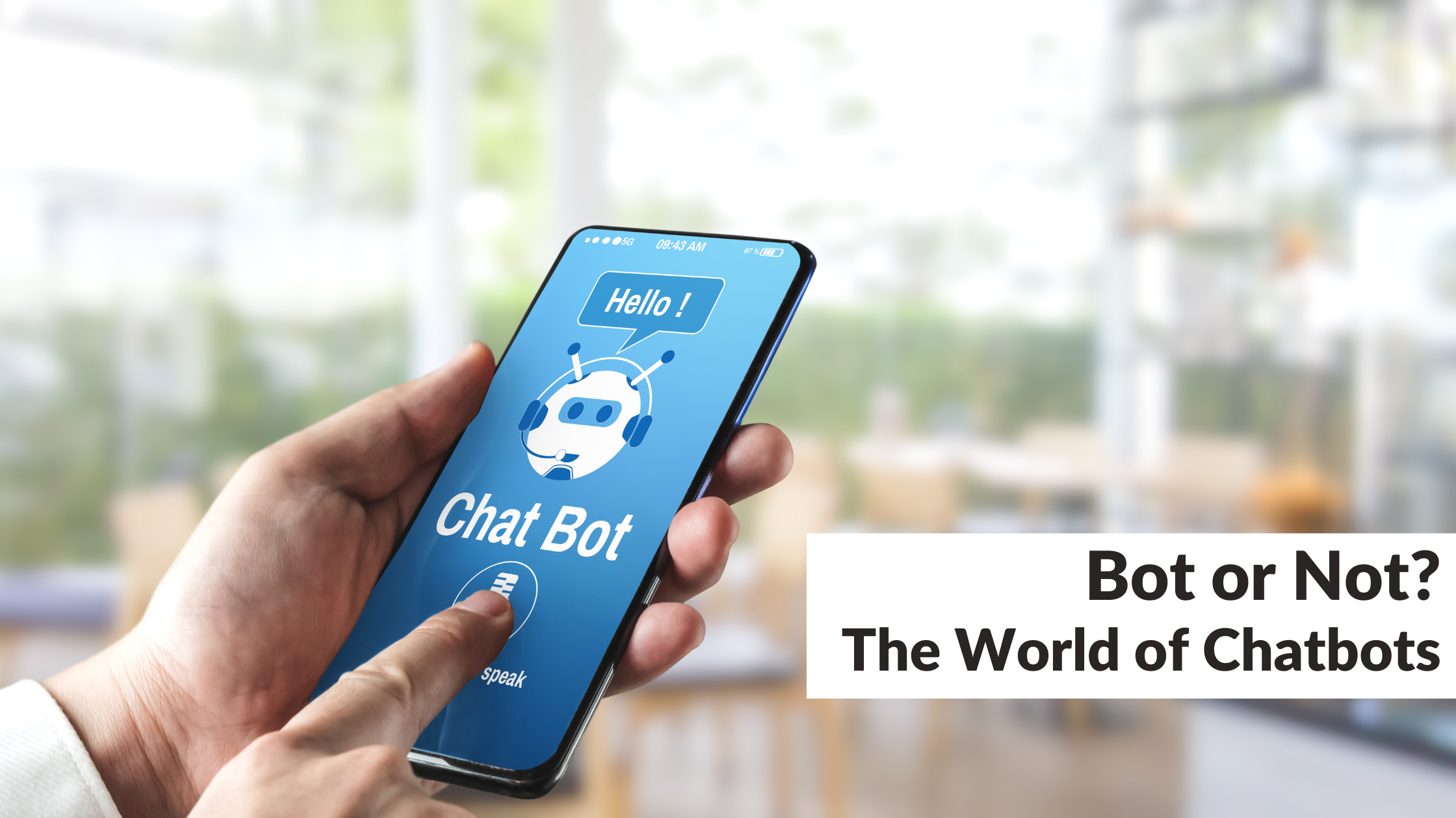 Bot or Not? The World of Chatbots